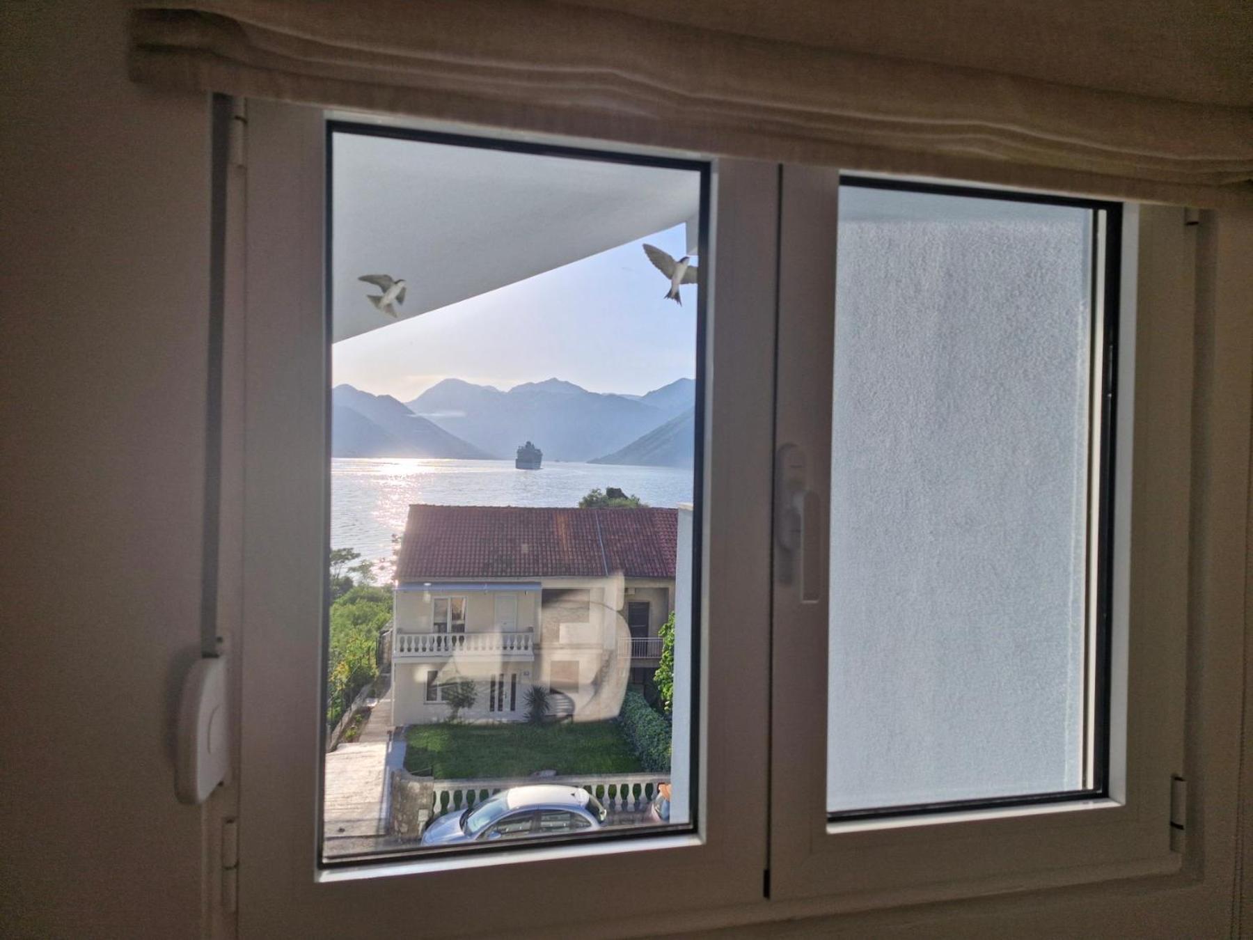 Luxury Apartment Vasilisa Kotor Kültér fotó